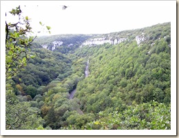 Combe Lavaus Gevrey Chambertin Combe Lavaus Gevrey Chambertin